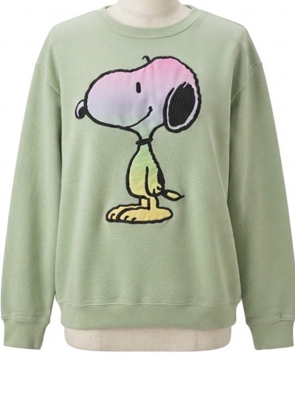 Peanuts Snoopy Rainbow Ombre Embroidered Sweatshirt Sage Green Cartoon Medium